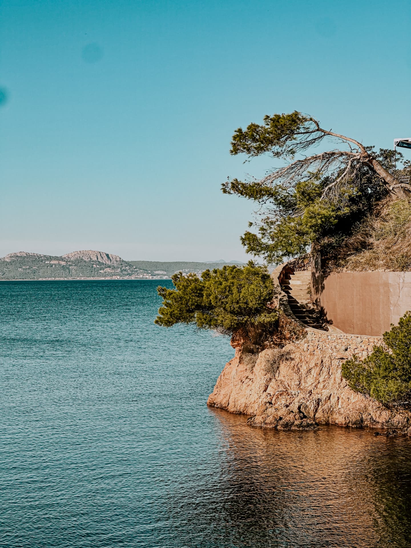 Pine-lined coastal path above the turquoise Mediterranean